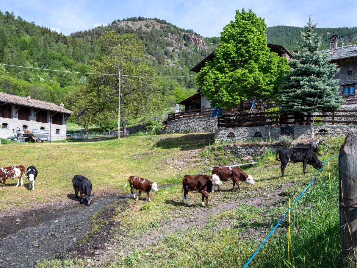 Holiday Home Maison Meynet By Interhome Sarre Zewnętrze zdjęcie
